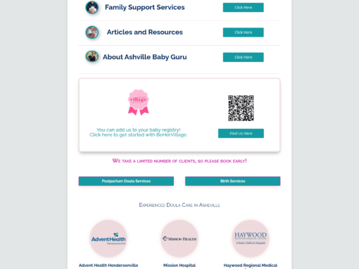 Asheville Baby Guru